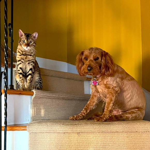 Meet your Posher, Maria - Picture 1 of 1